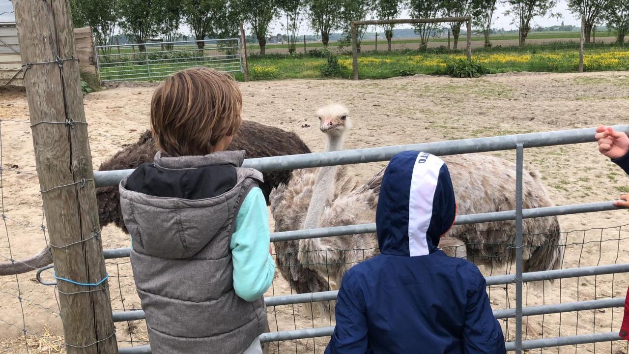 艾曾代克Slapen Bij De Zeeuwse Lala住宿加早餐旅馆 外观 照片
